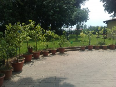 Giardini personalizzati 