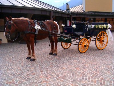 Carrozza addobbata